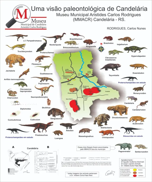 Mapa mostra algumas das espécies encontradas na cidadeapostas mistas onlineCandelária