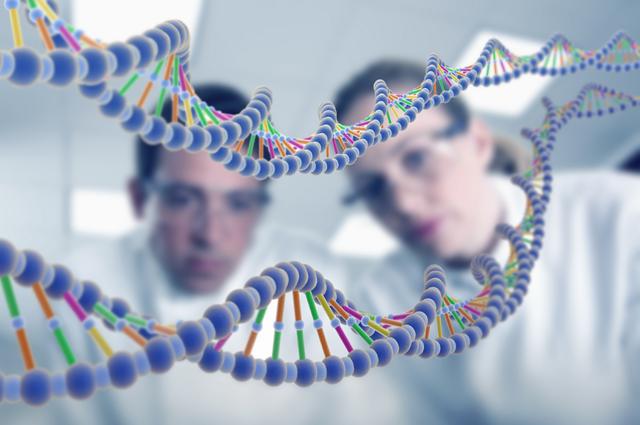 Dos investigadores miran un modelo de ADN