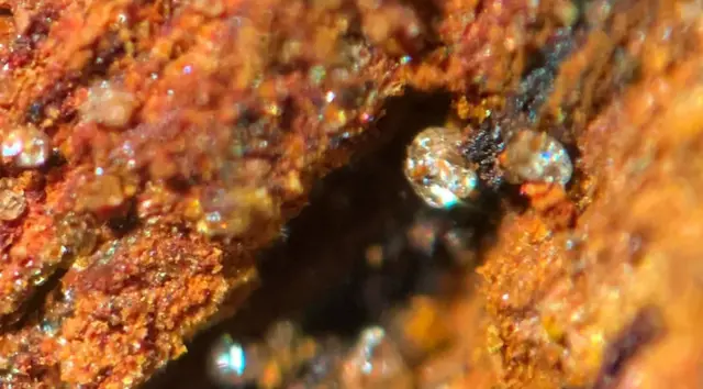 러스티클은 철을 부식시킬 뿐만 아니라 녹 자체를 먹어치우는 미생물과 산화철의 복잡한 생태계다 