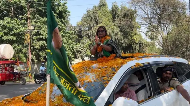 बीमा भारती 