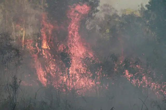 Api membakar semak belukar lahan di dekat kawasan permukiman Tegal Sari, Palangka Raya, Kalimantan Tengah, Jumat, (7/8/2026). Kencangnya angin di lokasi kebakaran membuat api cepat menjalar membakar lahan yang mendekati kawasan permukiman warga dan petugas berhasil memadamkan perambatan api sehingga tidak sampai terkena rumah warga. 