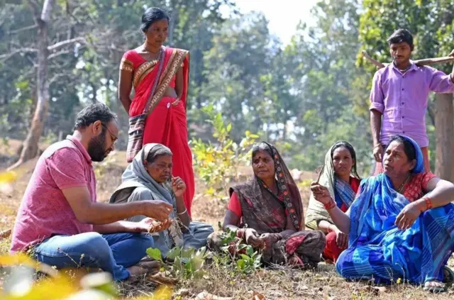 हसदेव जंगल