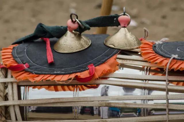 पालखीच्या मार्गावर मांसाहार करुन आलेले नव्हे तर तंबाखू-गुटखा खाऊन थुंकणारे आणि दारुचं व्यसन करणारे लोक अधिक असतात, असं हभप दिनकर शास्त्री भुकेले ठामपणे सांगतात.