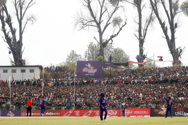 क्रिकेट 