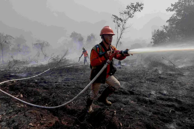 Personel BPBD Provinsi Kalimantan Barat menyemprotkan air ke lahan gambut yang terbakar di Dusun Sidomulyo, Desa Limbung, Kecamatan Sungai Raya, Kabupaten Kubu Raya, Kalimantan Barat, Minggu (2/8/2026). BMKG Kalimantan Barat mencatat hasil pantauan sensor VIIRS dan MODIS pada satelit polar per 1 Agustus 2026 menunjukkan terdapat 762 titik panas kebakaran hutan dan lahan yang tersebar di 12 kabupaten di provinsi setempat yaitu antara lain Ketapang, Sanggau, Sekadau, Melawi, dan Kubu Raya. 