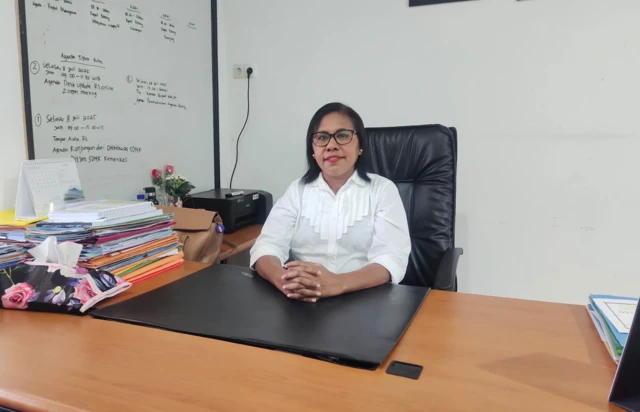 Direktur RSUD Yowari, drg. Maryen Braweri.