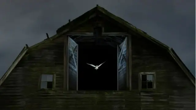 جغدی سفید در حال پرواز در شب