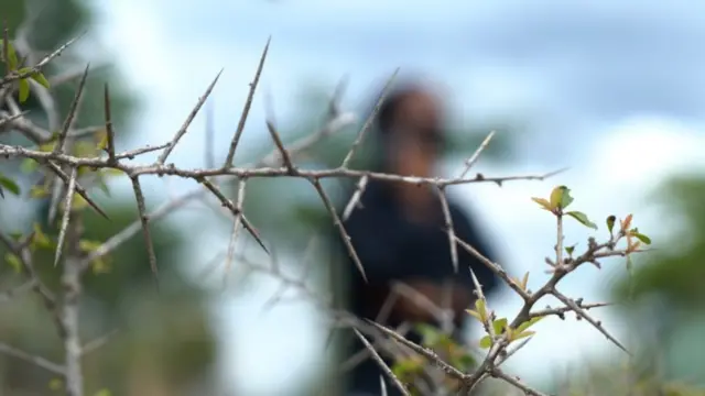 સમલૈંગિક