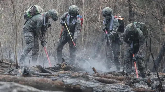 दक्षिण कोरियात वणव्याचा हाहाकार