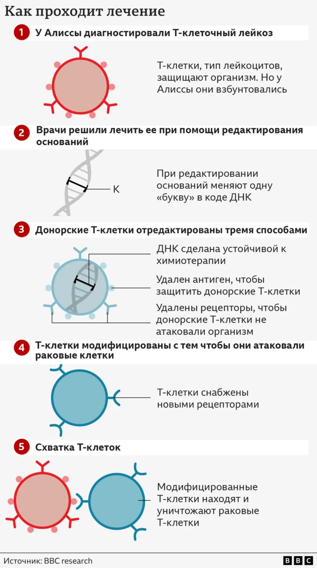 графическая схема - этапы генной терапии при лейкемии
