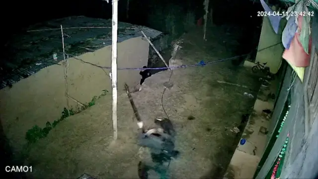 Pencurian pohon Bodhichitta di Nepal