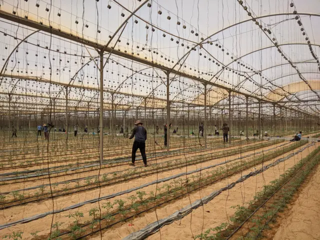 इजरेलमा नेपाली