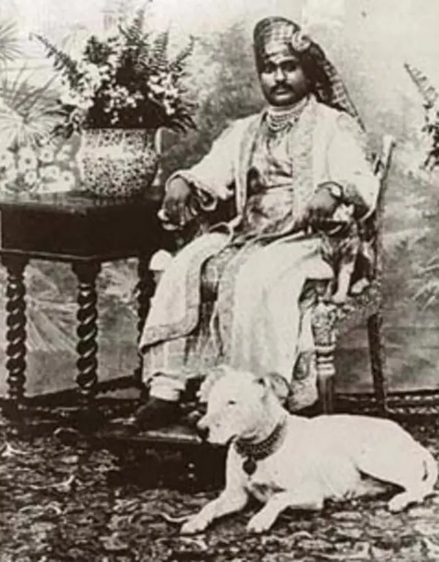 ஜூனாகத் நவாப்