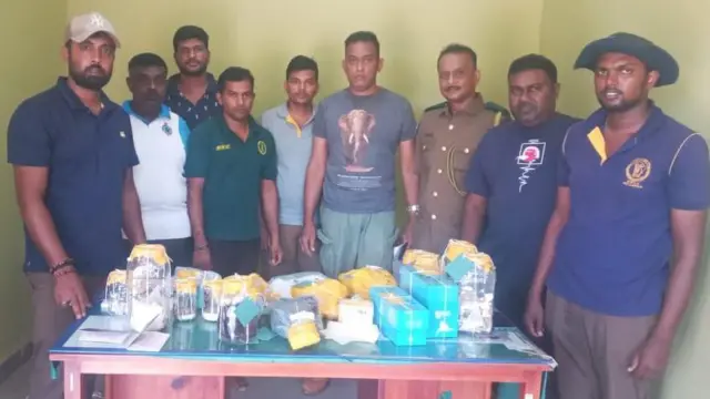 වනජීවී දෙපාර්තමේන්තුව විසින් සැකකරුවන්ට එරෙහිව චෝදනා 810ක් සකස් කරන ලදී. 