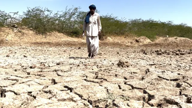 સુજલામ્ સુફલામ્ યોજના અને પાણીની સમસ્યાનો ઉકેલ