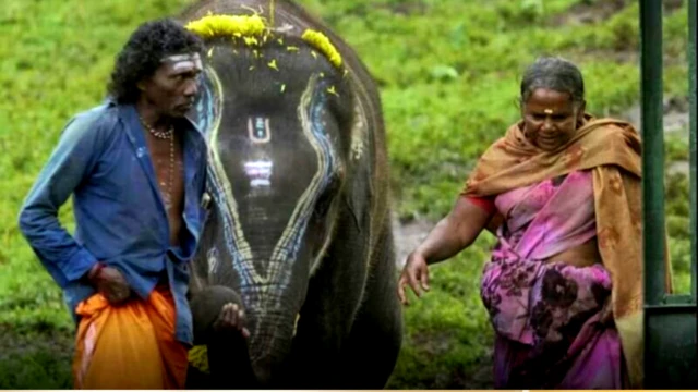 ધ ઍલિફન્ટ વ્હિસ્પરર્સ