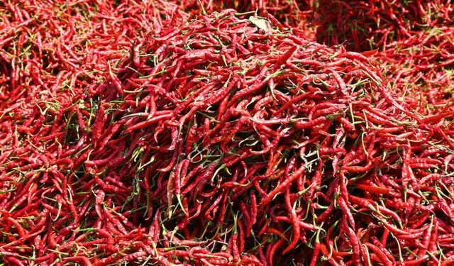 మిర్చి ధరలు