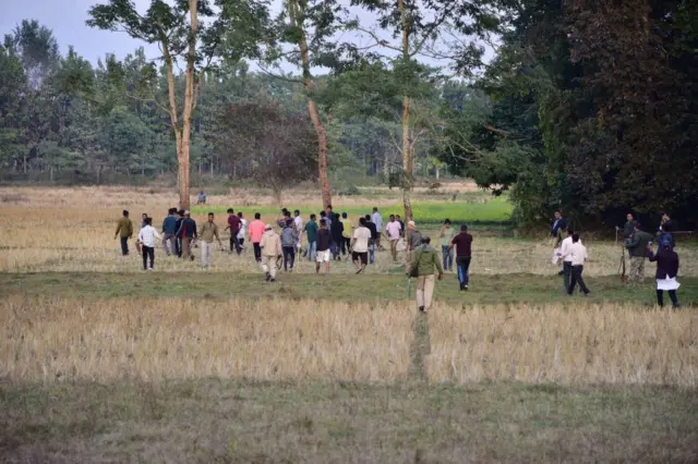 प्रातिनिधिक फोटो