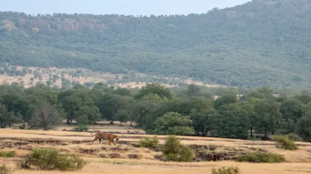 దిల్లీ, హరియాణా, రాజస్థాన్, ఆరావళీ