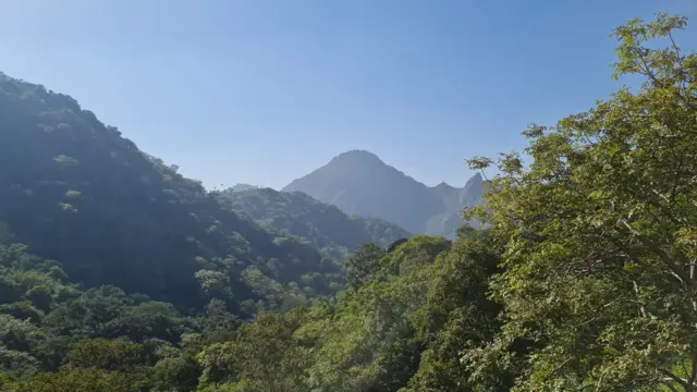 બીબીસી ગુજરાતી