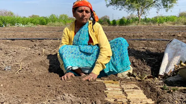 लागवड करताना महिला.