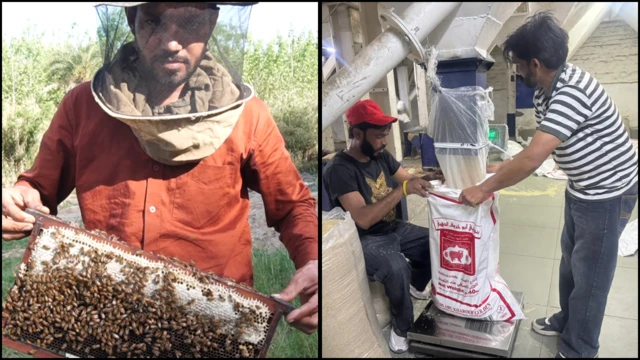 ਮੱਖੀ ਪਾਲਕ ਅਤੇ ਬਾਸਮਤੀ ਇੰਡਸਟਰੀ 'ਚ ਕੰਮ ਕਰਨ ਵਾਲੇ ਲੋਕਾਂ ਦੀ ਤਸਵੀਰ