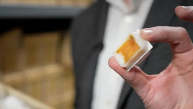 Muestra de células de un tumor