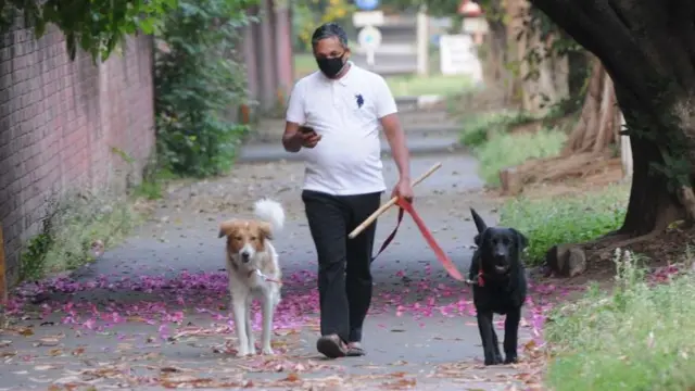 ਸੈਰ ਕਰਨਾ 