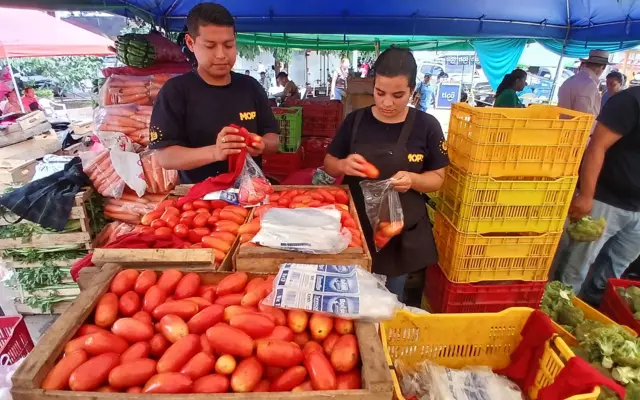 Dos personas con camiseta azul oscuro del MOPT embolsan tomates en el agromercado de Apopa, uno de los municipios más poblados del país, el 9 de septiembre de 2024.