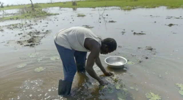 ነዳጅ የበከለው ውሃው ወደ ወንዝ ስለሚሄድ ሰዎች ይጠጡታል። ዓሣ የሚገኝበት ኩሬ ውስጥም ይገባል።