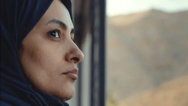 ஐக்கிய அரபு எமிரேட்ஸால் அமர்த்தப்பட்ட அமெரிக்க கூலிப்படையினர்