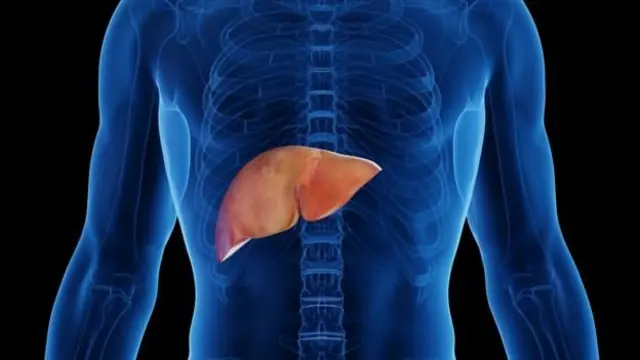 दारू प्यायचं थांबवलं की तुमच्या लिव्हरचं काय होतं?