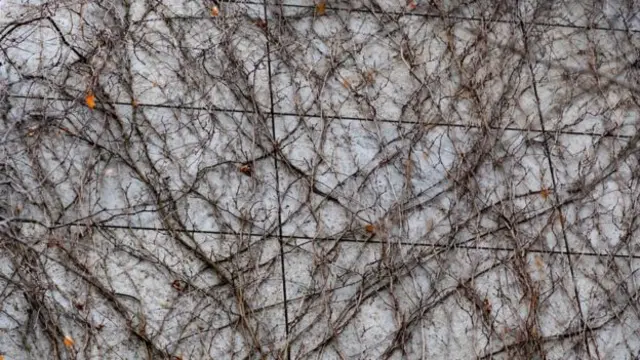 নতন গবেষণা আধুনিক মানুষের উৎপত্তির ইতিহাসকে আরও জটিল করে তুলেছে।