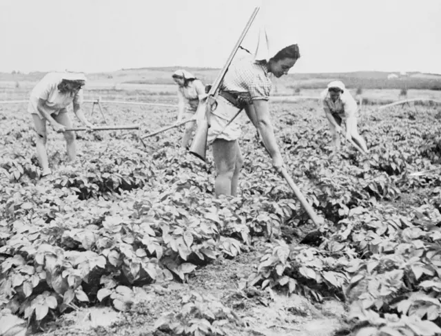 عاملات في حقل في كيبوتس دغانيا قبل إقامة دولة اسرائيل
