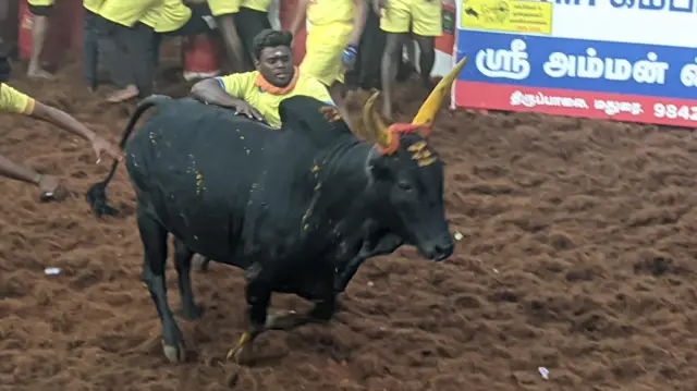 அலங்காநல்லூர் ஜல்லிக்கட்டு