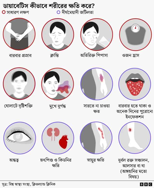 ডায়াবেটিস কীভাবে শরীরকে প্রভাবিত করে তা একটি চিত্রের মাধ্যমে দেখানো হয়েছে। সাধারণ লক্ষণগুলোর মধ্যে রয়েছে ঘন ঘন প্রস্রাব, ক্লান্তি, অতিরিক্ত তৃষ্ণা, ওজন হ্রাস, ঝাপসা দৃষ্টি এবং মিষ্টি বা ফলের মতো গন্ধযুক্ত নিঃশ্বাস। দীর্ঘমেয়াদী লক্ষণগুলোর মধ্যে রয়েছে ক্ষত দেরিতে শুকানো, ঘন ঘন বা দীর্ঘস্থায়ী সংক্রমণ, অন্ধত্ব, হৃৎপিণ্ড বা কিডনির ক্ষতি, স্নায়ুর ক্ষতি এবং দুর্বল রক্ত ​​সঞ্চালন।