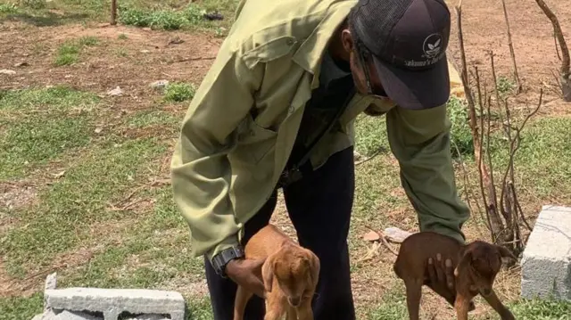 Takuma school abroad, return to be Abuja farmer, dem find im bodi for well