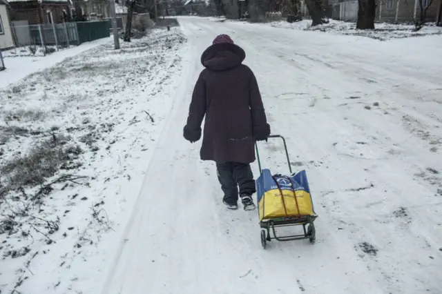 Ukraynalı bir kadın alışveriş sepetini karlar arasında çekiyor