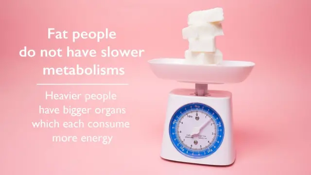 ረጐድቲ ሰባት ድንጕይ ሜታቦሊዝም ኣለዎም (ዝወሓደ ካሎሪ ስለ ዘቃጽሉ ምእንቲ ኸይረጉዱ ውሑድ ምግቢ ኽምገቡ ኣለዎም።) ካብ ግቡእ ዝዛይድ ሰብነት ዘለዎም ሰባት ነፍሲ ወከፎም ዝያዳ ጸዓት ዘጥፍኡ ዓበይቲ ኽፍሊ ኣካላት ኣለዎም።