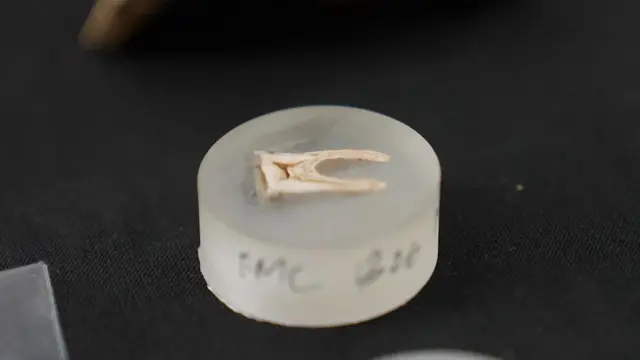 Meno yanaweza kufichua zaidi kuhusu kile ambacho jumuiya hii ya zama za kati ilikuwa inakula