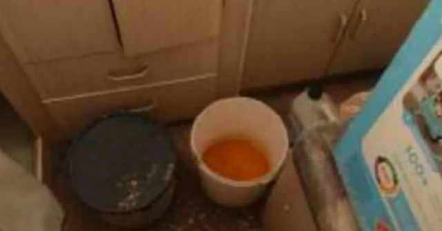 ਜੋੜਾ ਬੇਹੱਦ ਮਾੜੀ ਸਥਿਤੀ ਵਿੱਚ ਰਹਿ ਰਿਹਾ ਸੀ