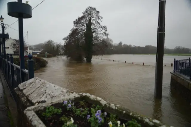 La inundación cubre una zona ribereña en un día gris y nublado. El agua fangosa ha invadido senderos y pastizales, sumergiendo postes y rodeando un gran árbol en el centro de la escena. Edificios y barandillas bordean el lado izquierdo, mientras que una jardinera con pequeñas flores se ve en primer plano.
