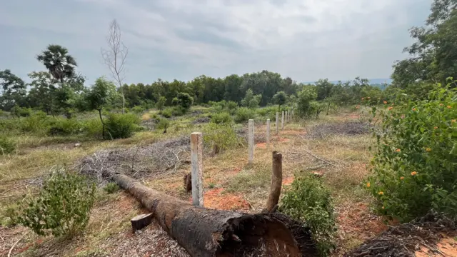 విశాఖపట్నం, భీమిలి మున్సిపాలిటీ , హౌసింగ్ సొసైటీ, బౌగోళిక వారసత్వ సంపద, ఎర్రమట్టి దిబ్బలు