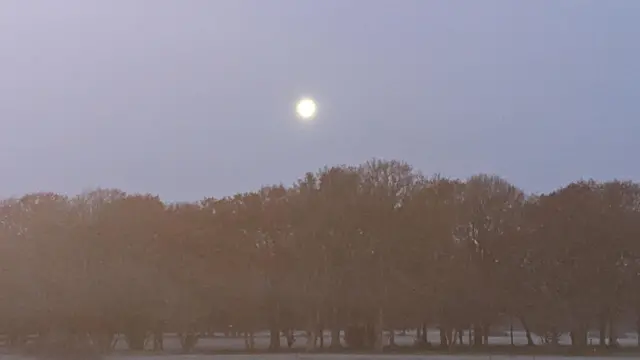 Luna visible sobre los árboles contra un cielo violeta claro.