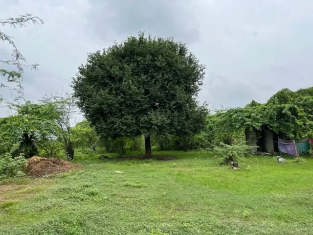 ઑનર કિલિંગ