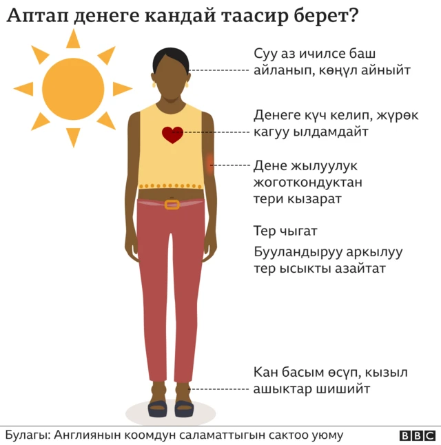 Аптап денеге кандай таасир берет