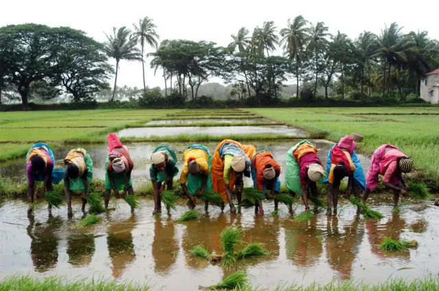 प्रातिनिधीक फोटो 