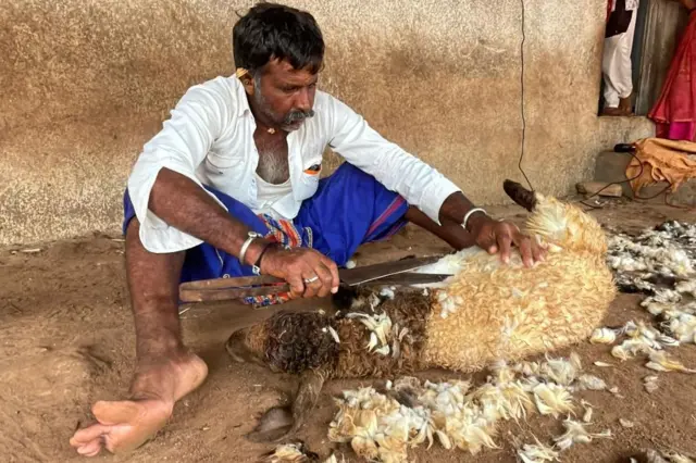 ઊન, ઘેટાં, ગુજરાત, માલધારીઓ, બીબીસી ગુજરાતી 