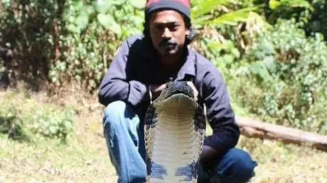 એકભારતમાં સાપ પકડનારાને જ ઘણી વખત કેમ સાપ ડંખી જાય છે અને તેમનું મૃત્યુ થાય? કોબ્રા, રસલ વાઇપર, સાપ પકડવા વનવિભાગની મોબાઇલ ઍપ્લિકેશન, સાપનો ફોટો પાડવો જોઈએ, બીબીસી ગુજરાતી સાથે સમજો, બીબીસી ન્યૂઝ