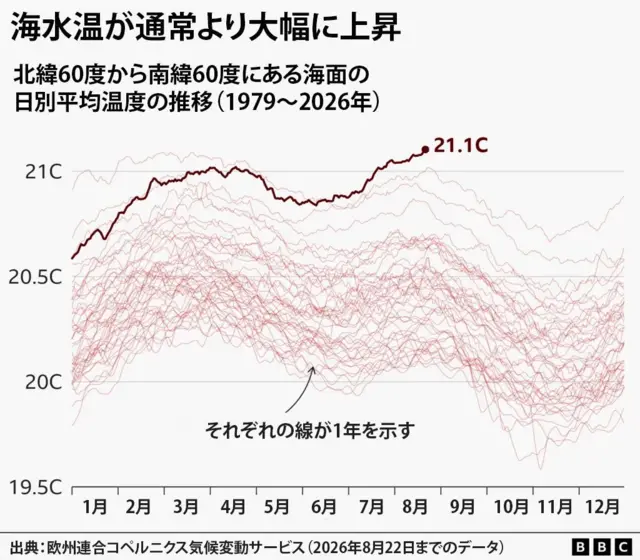 1979年から2020年までの日別平均海面水温を示すグラフ。2026年はほぼ最高水準を記録しながら上昇を続け、8月下旬に21.1度に達したことを示している